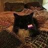 Örnek Resim