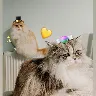 Örnek Resim