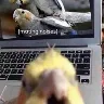 Örnek Resim