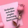 Örnek Resim