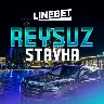 Örnek Resim