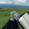 Örnek Resim