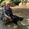Örnek Resim