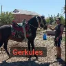Örnek Resim