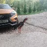 Örnek Resim