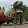 Örnek Resim