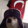 Örnek Resim