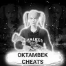 Örnek Resim