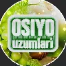 Örnek Resim