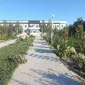 Örnek Resim