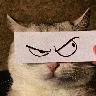 Örnek Resim
