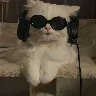 Örnek Resim