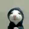 Örnek Resim