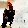 Örnek Resim