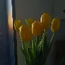 Örnek Resim