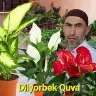 Örnek Resim