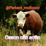 Örnek Resim