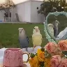 Örnek Resim