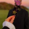 Örnek Resim