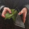 Örnek Resim