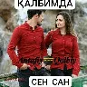 Örnek Resim