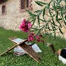 Örnek Resim