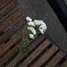 Örnek Resim
