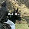 Örnek Resim
