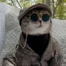 Örnek Resim